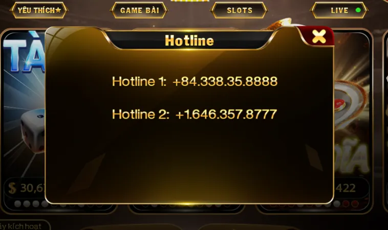 Hệ Thống Hotline Hỗ Trợ Luôn Sẵn Sàng 24/7